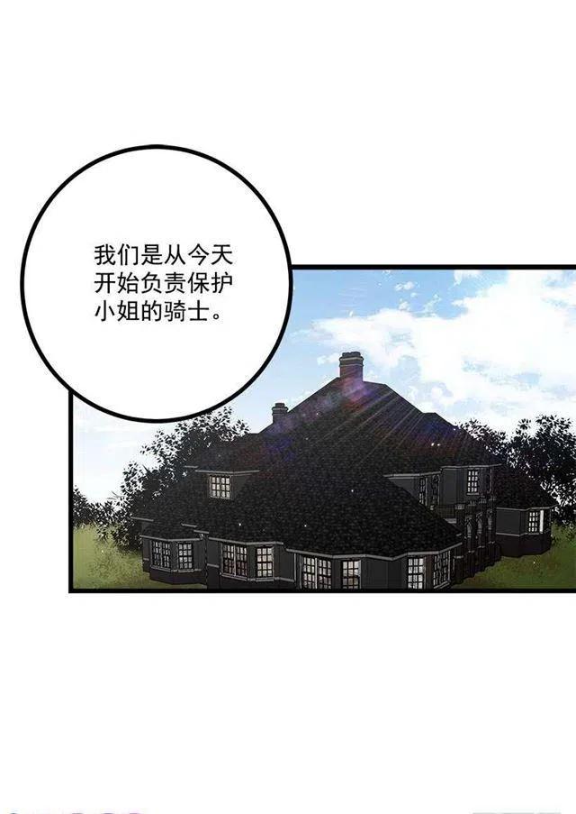 《我是这一家儿的孩子》新护卫 第26页