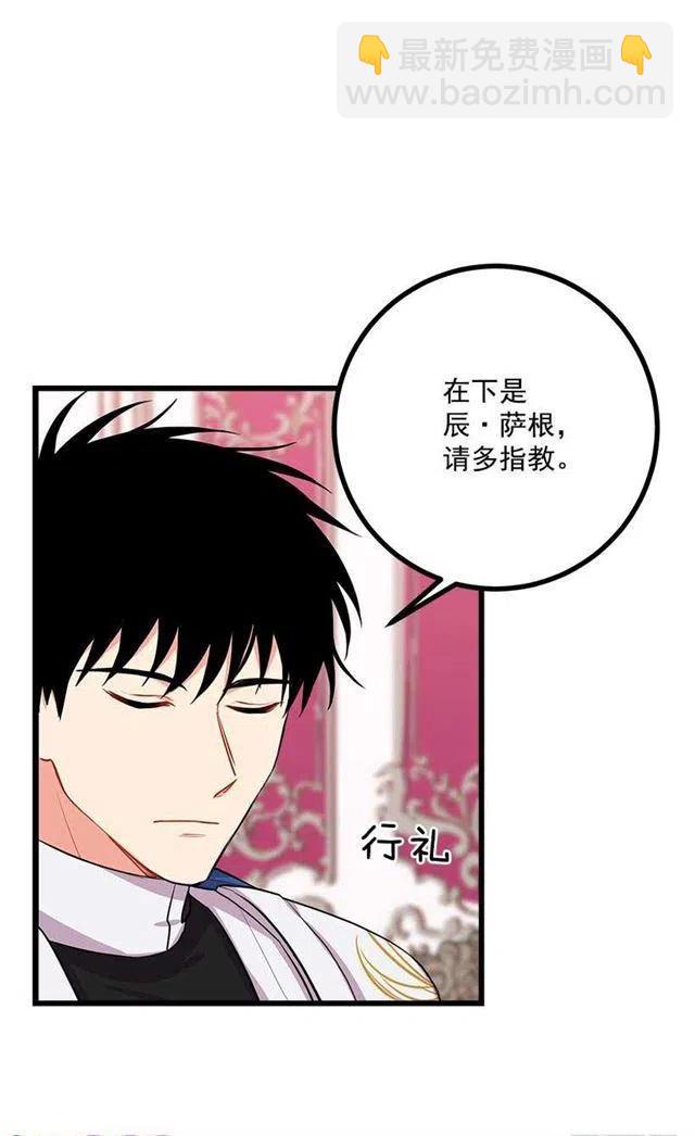 《我是这一家儿的孩子》新护卫 第27页