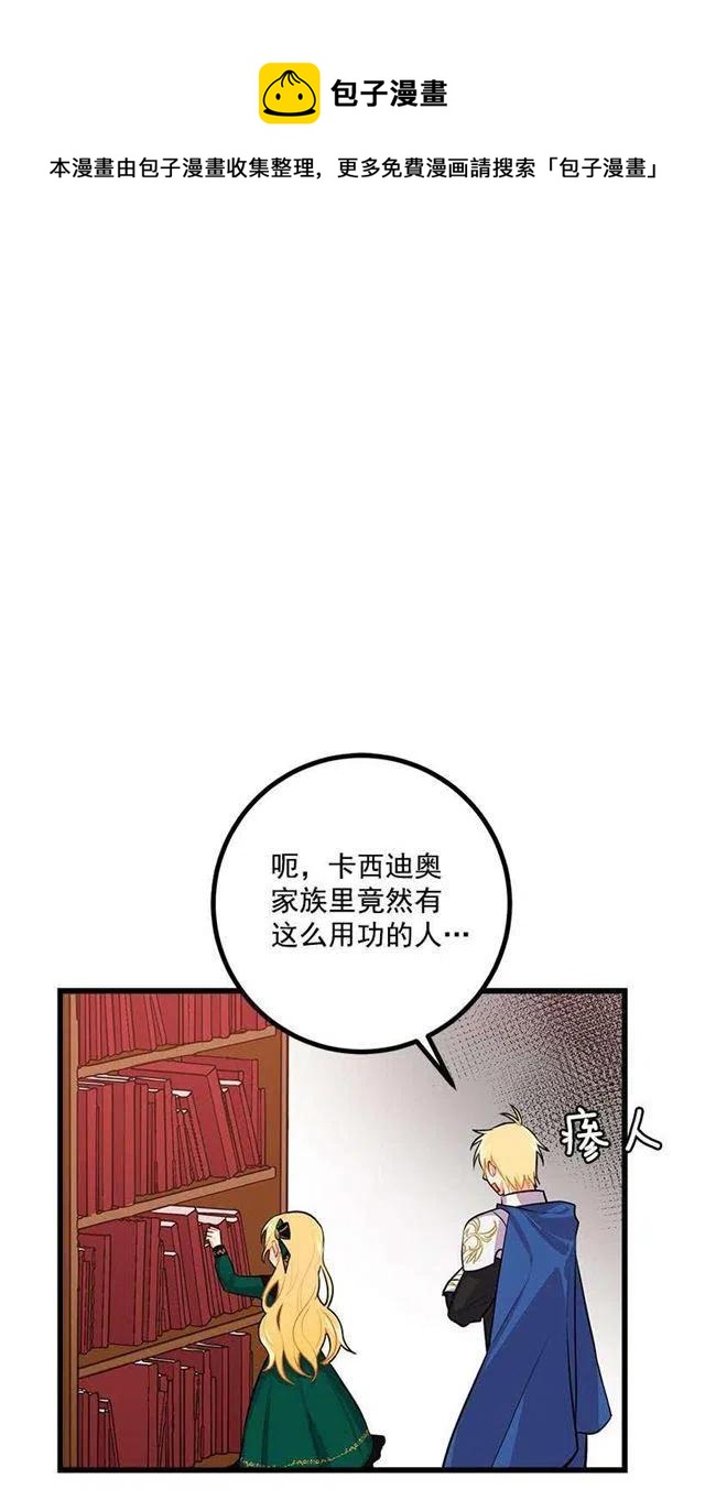 《我是这一家儿的孩子》魔法师与魔法师塔 第29页
