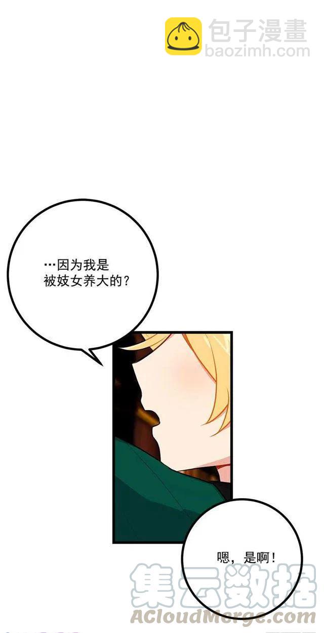 《我是这一家儿的孩子》魔法师与魔法师塔 第34页
