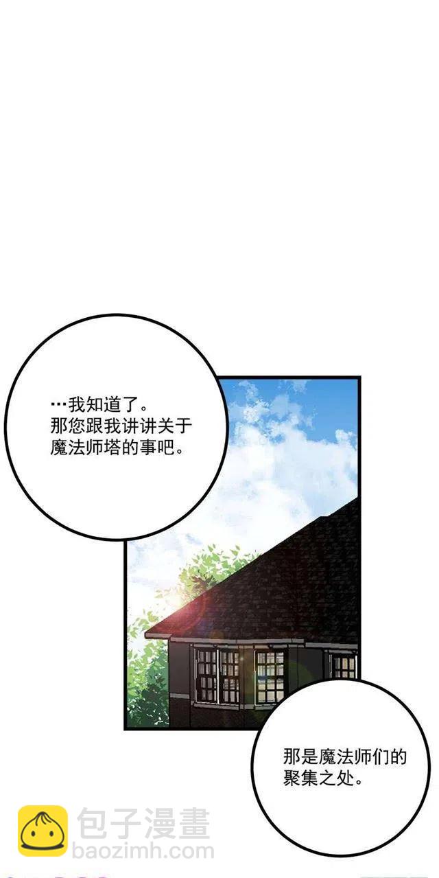 《我是这一家儿的孩子》魔法师与魔法师塔 第3页