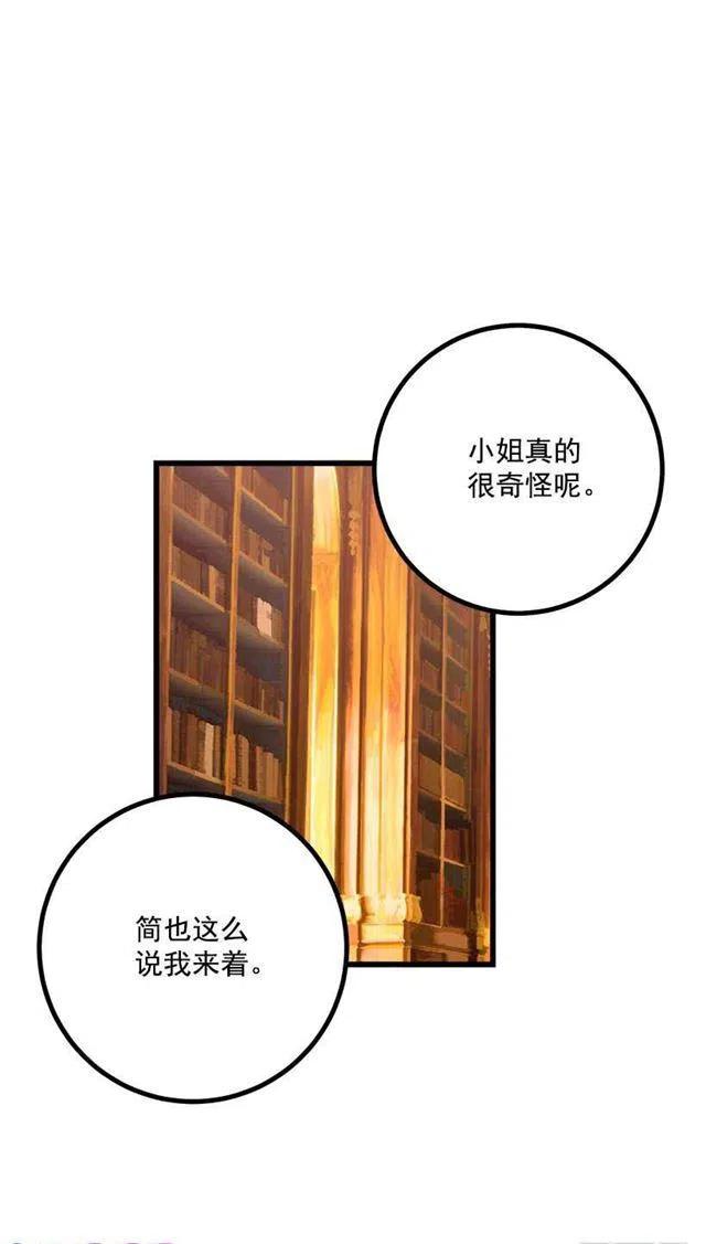 《我是这一家儿的孩子》魔法师与魔法师塔 第44页