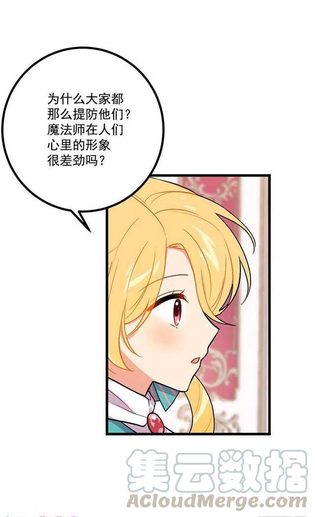 《我是这一家儿的孩子》魔法师与魔法师塔 第4页
