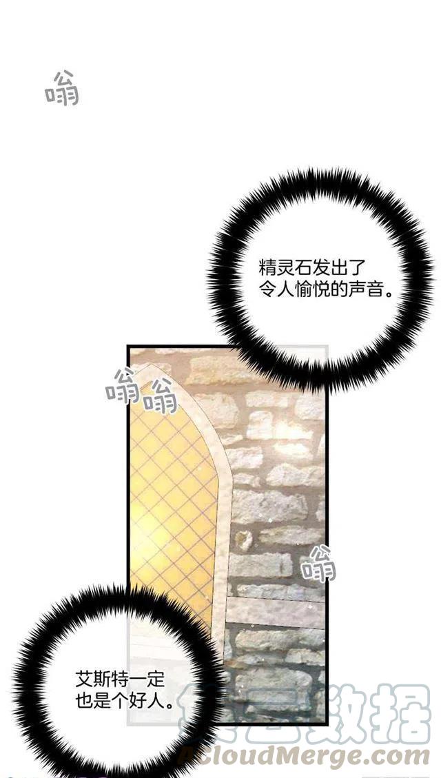 《我是这一家儿的孩子》去看骑士团训练喽 第37页