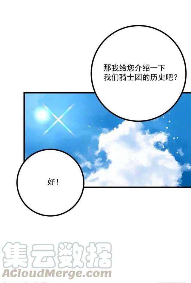 《我是这一家儿的孩子》去看骑士团训练喽 第40页