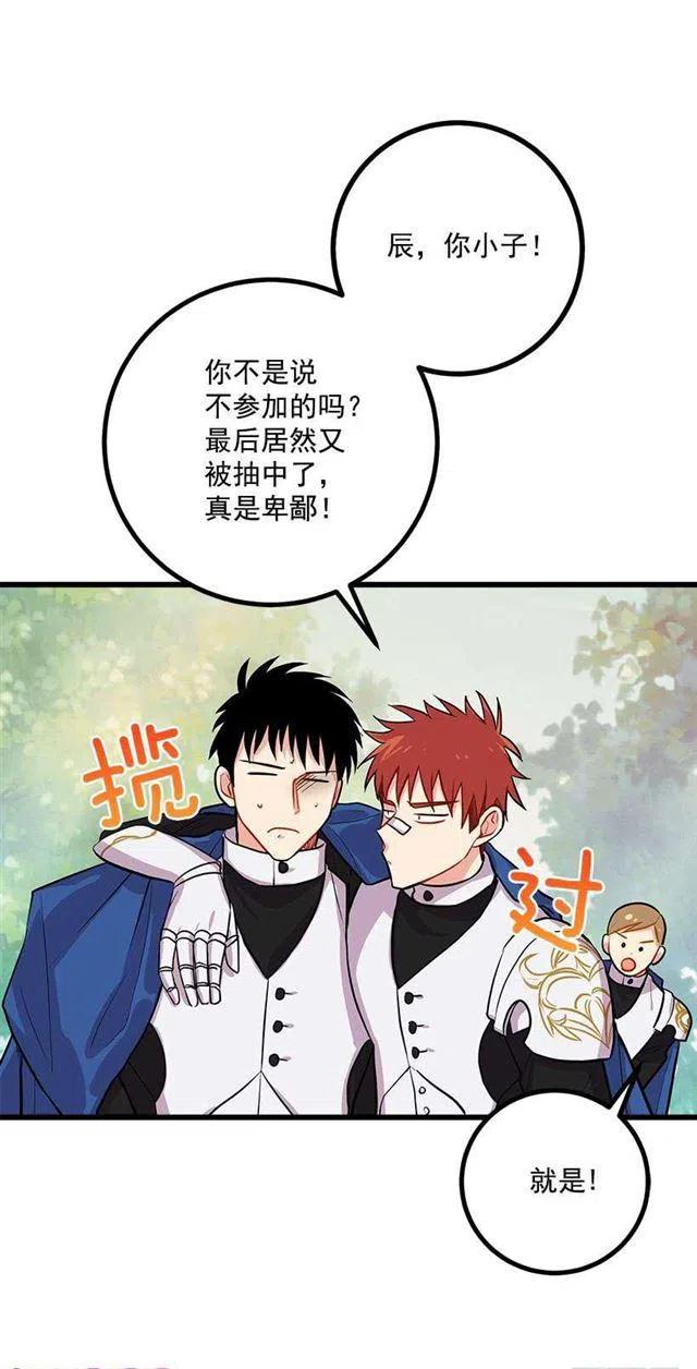 《我是这一家儿的孩子》狩猎大会的标记带 第6页