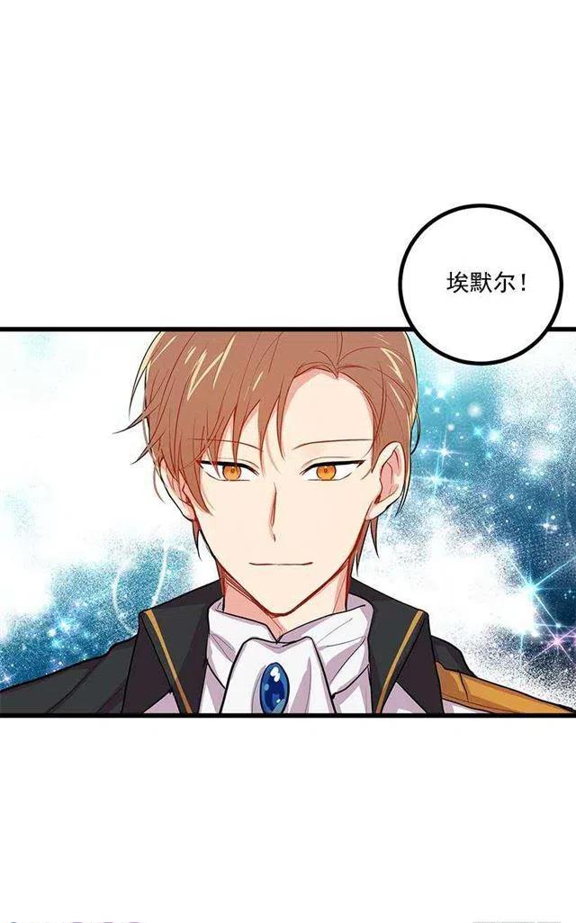 《我是这一家儿的孩子》埃默尔的嘱托 第18页