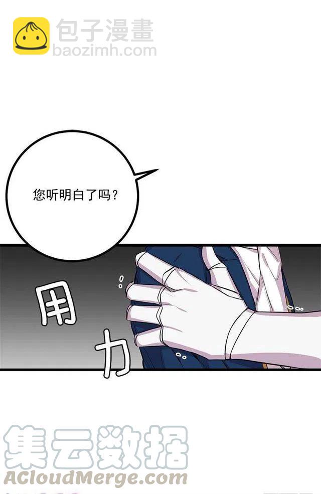 《我是这一家儿的孩子》埃默尔的嘱托 第31页