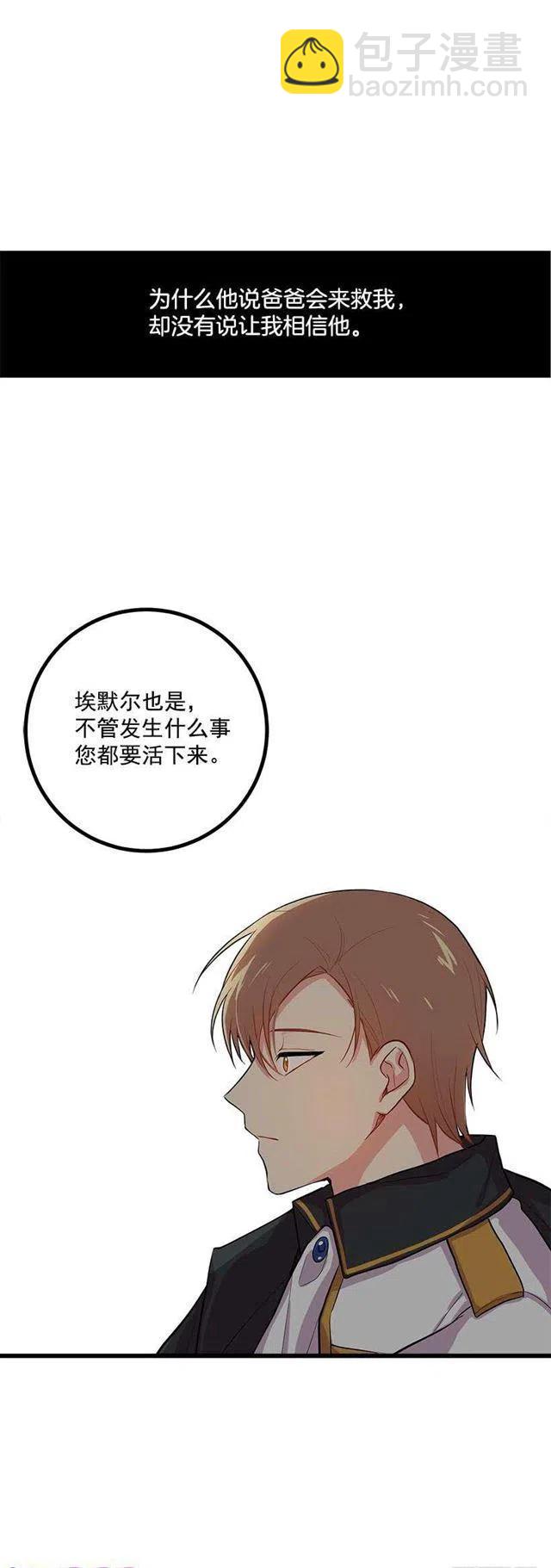 《我是这一家儿的孩子》埃默尔的嘱托 第36页