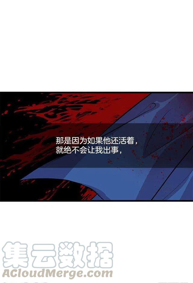《我是这一家儿的孩子》埃默尔的嘱托 第37页