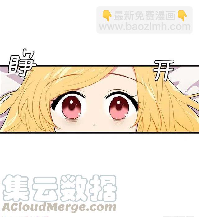 《我是这一家儿的孩子》埃默尔的嘱托 第4页