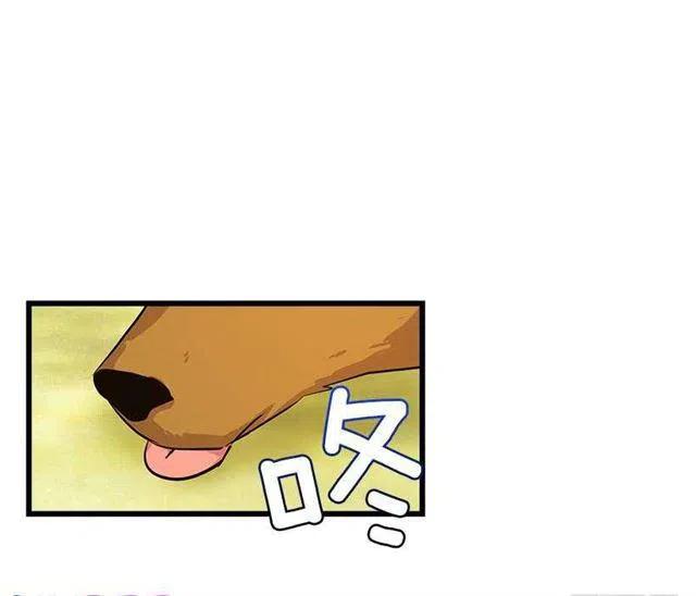 《我是这一家儿的孩子》熊 第12页