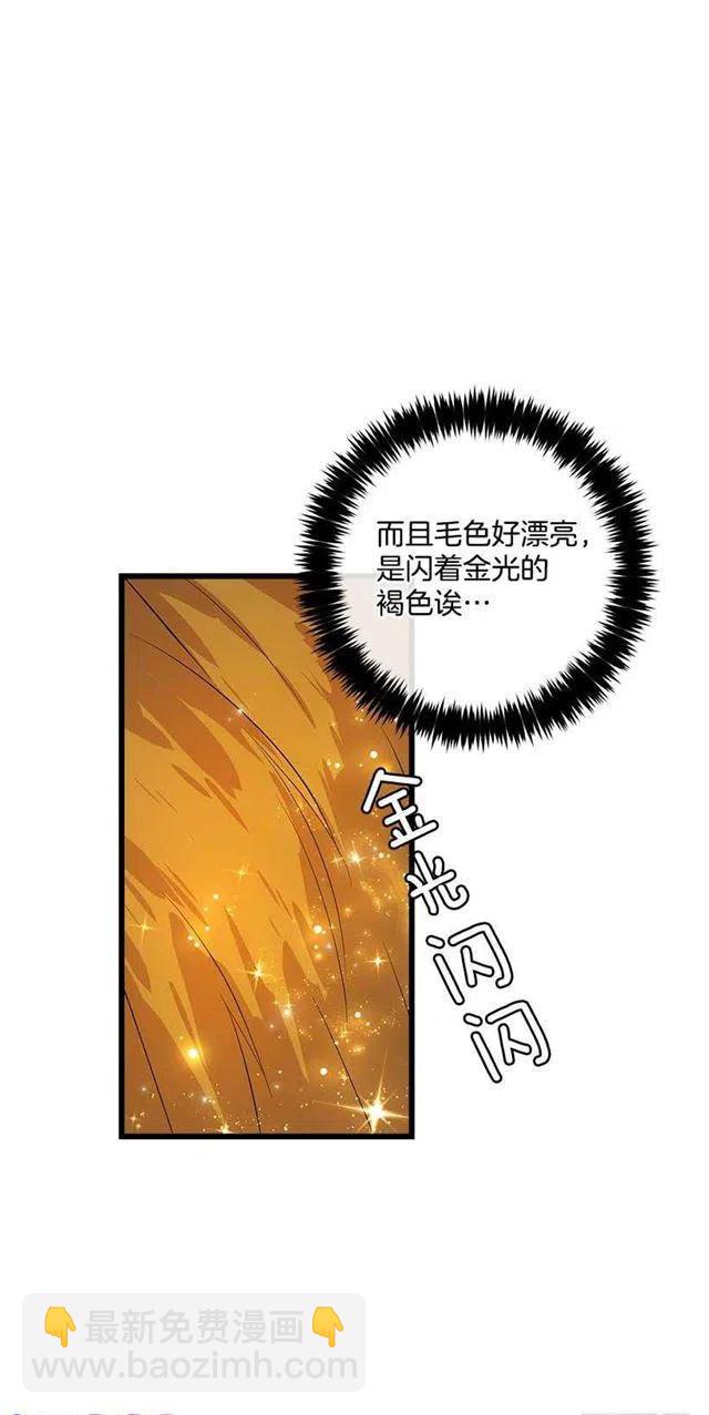 《我是这一家儿的孩子》熊 第15页