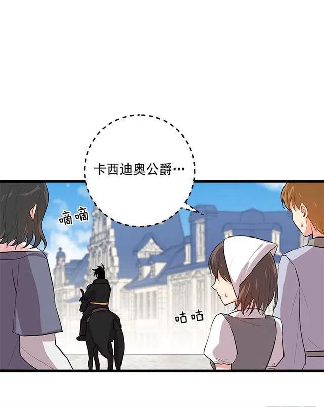 《我是这一家儿的孩子》44.公爵的秘密 第36页