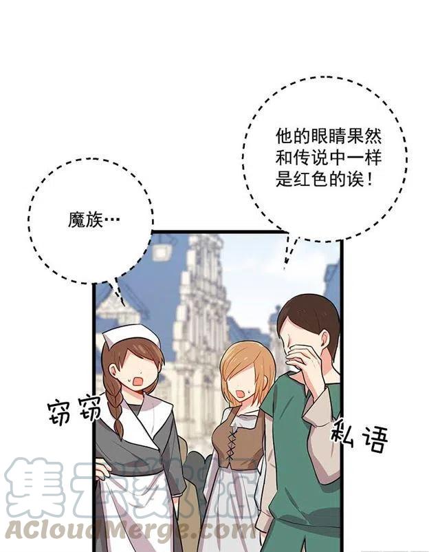 《我是这一家儿的孩子》44.公爵的秘密 第37页