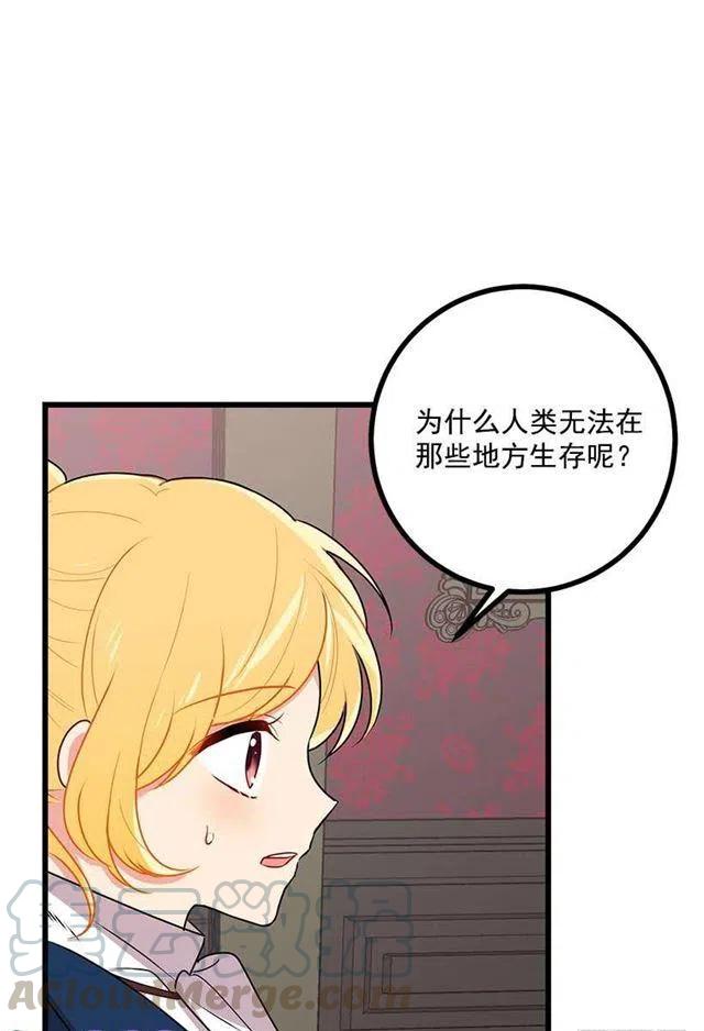《我是这一家儿的孩子》47.精灵的护佑 第37页