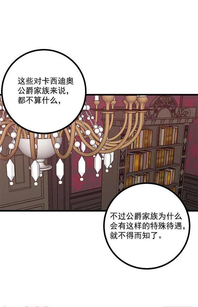 《我是这一家儿的孩子》45.精灵石的声音 第21页