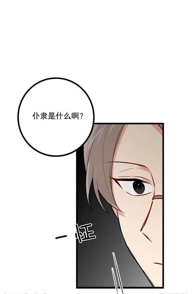 《我是这一家儿的孩子》45.精灵石的声音 第33页