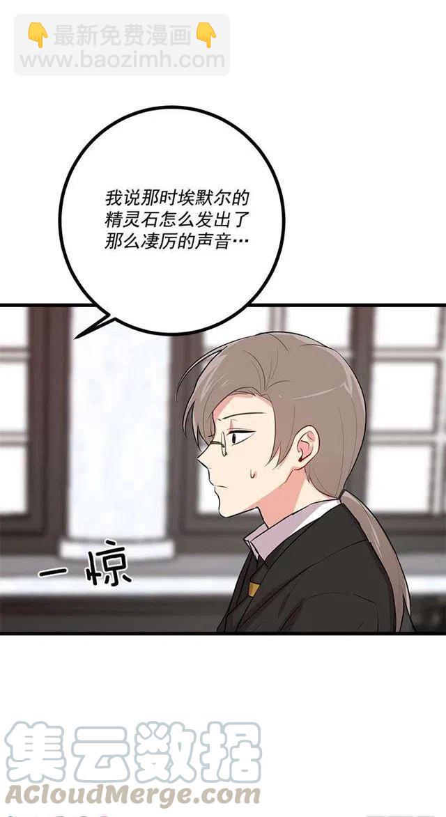 《我是这一家儿的孩子》45.精灵石的声音 第40页