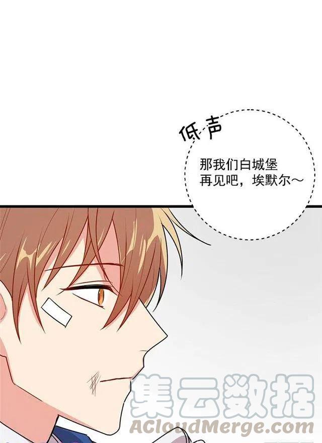 《我是这一家儿的孩子》57.白城堡 第11页