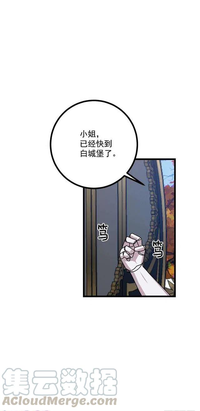 《我是这一家儿的孩子》57.白城堡 第15页