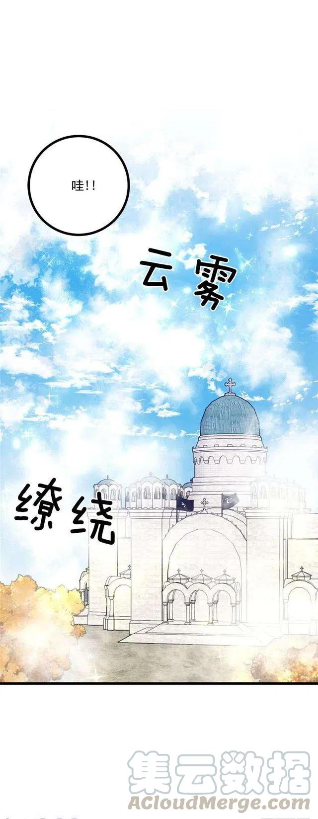 《我是这一家儿的孩子》57.白城堡 第17页