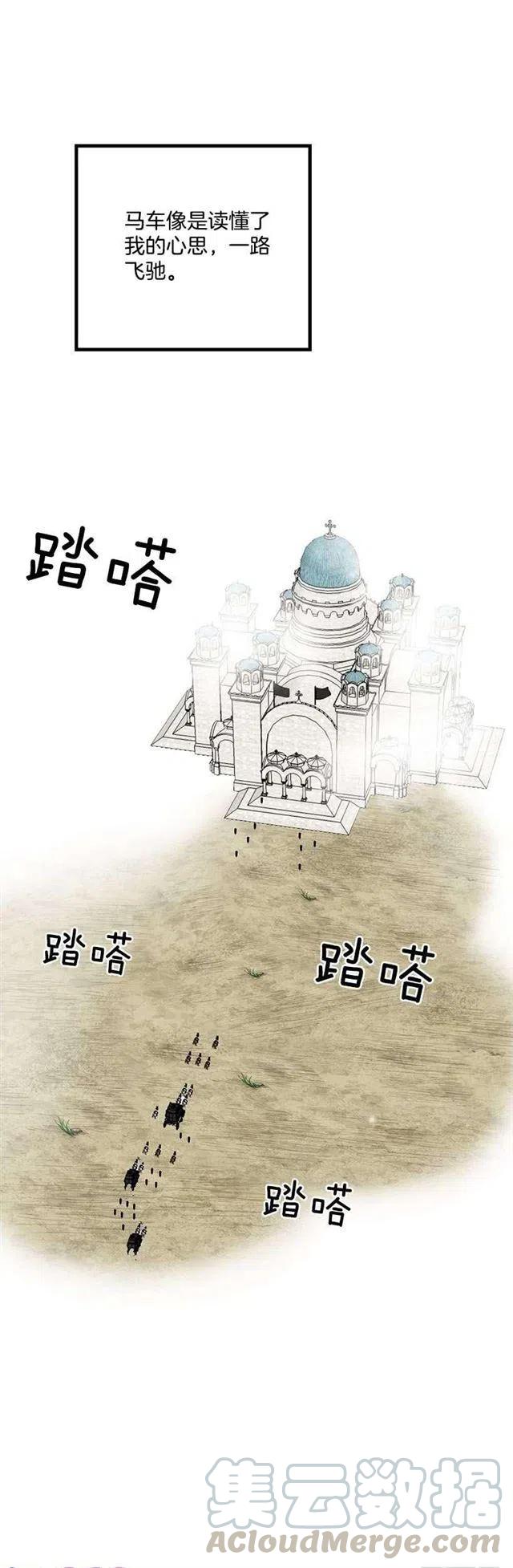 《我是这一家儿的孩子》57.白城堡 第21页