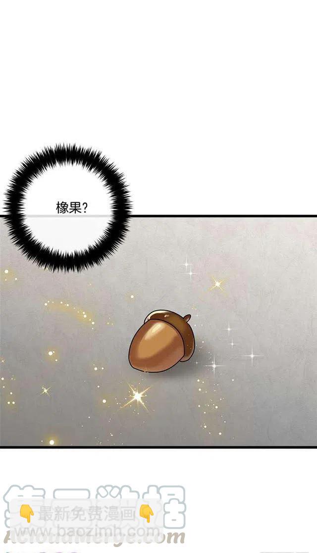 《我是这一家儿的孩子》57.白城堡 第3页