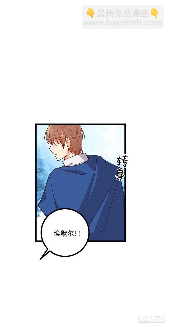 《我是这一家儿的孩子》64.黑狼骑士团 第33页