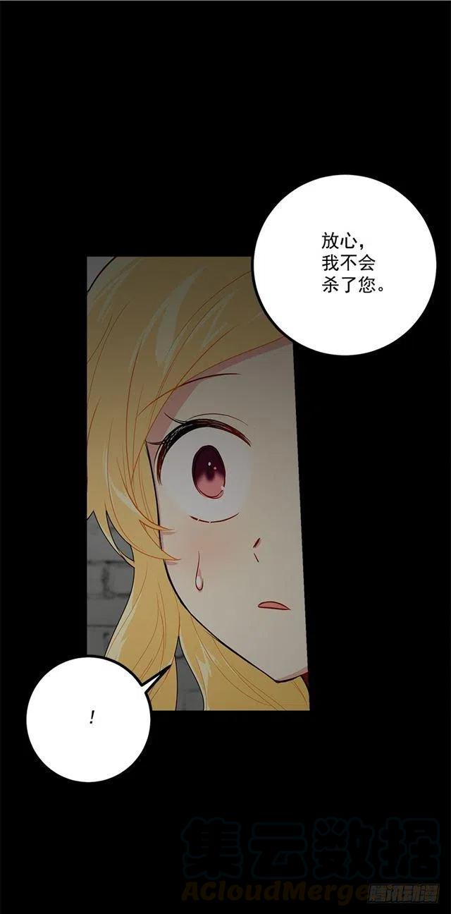 《我是这一家儿的孩子》68.我不会杀了您 第28页