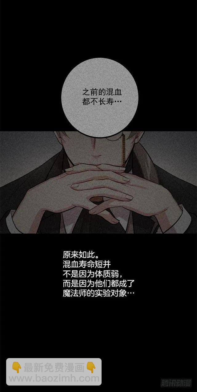 《我是这一家儿的孩子》68.我不会杀了您 第30页