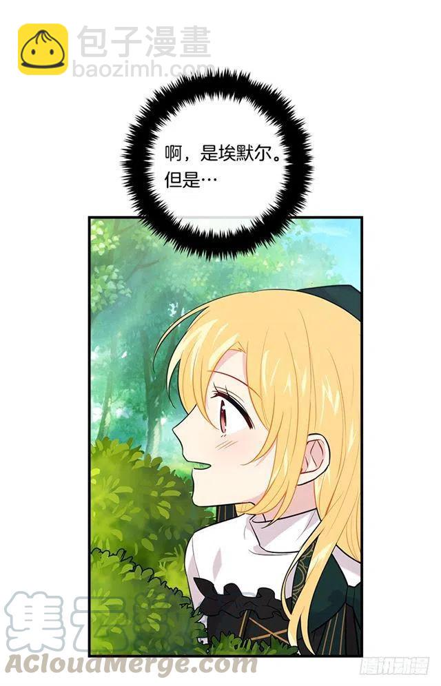 《我是这一家儿的孩子》100.埃默尔的另一面 第37页