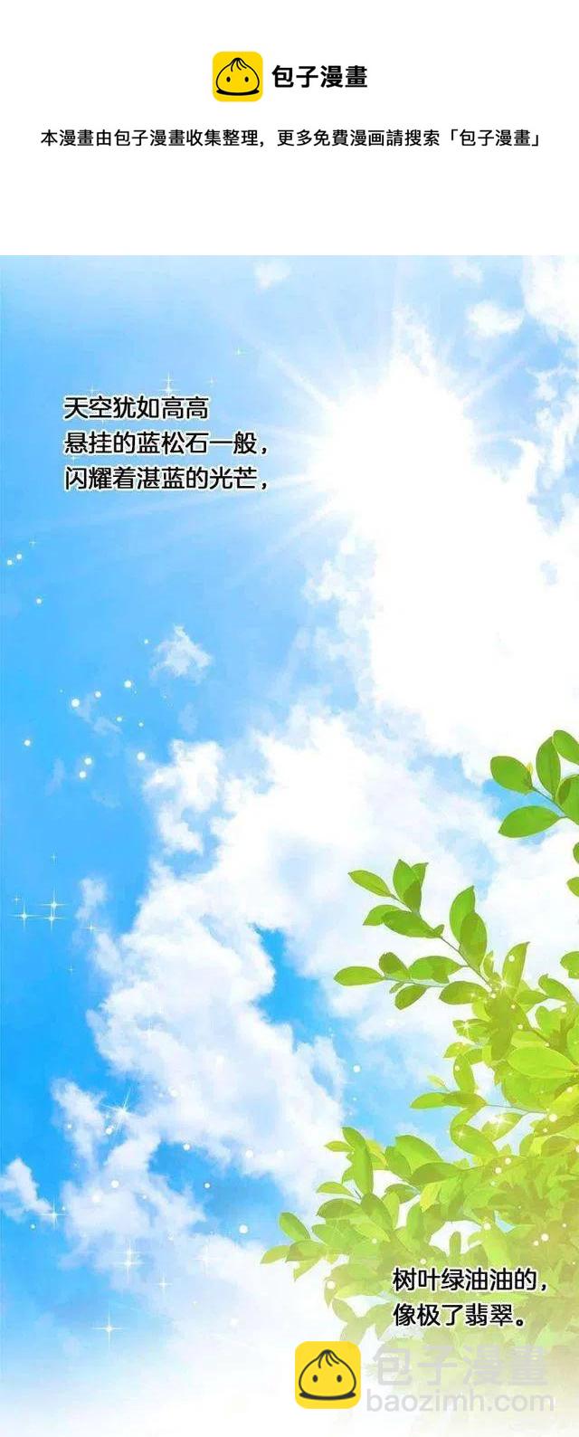 《我是这一家儿的孩子》114.完美的宴会 第18页