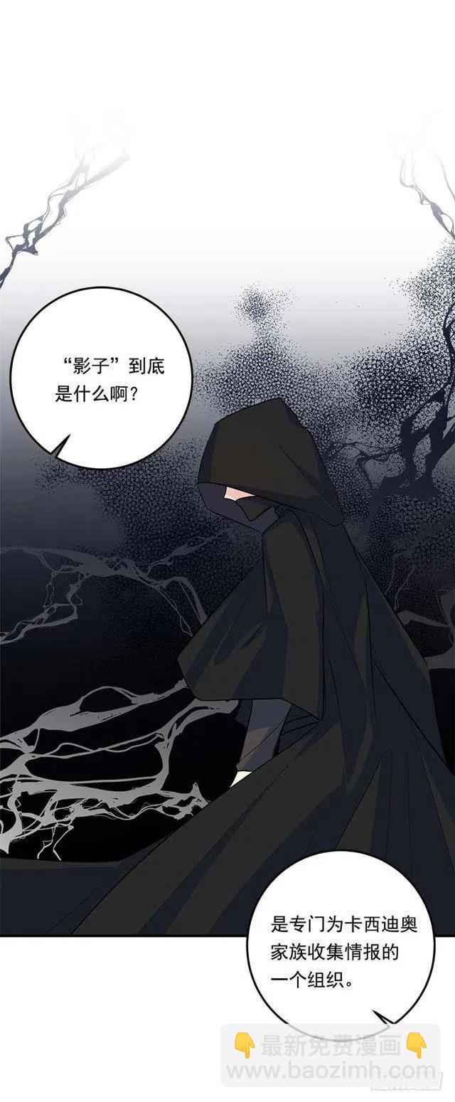 《我是这一家儿的孩子》112.你可以使用影子了 第17页