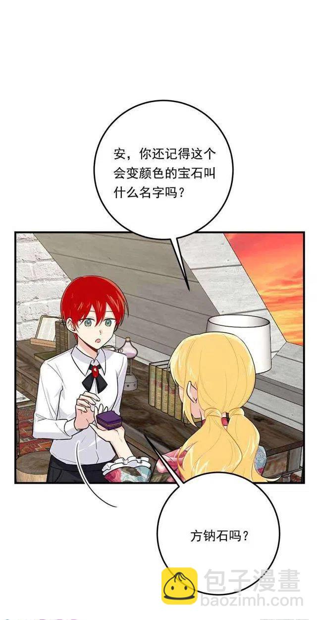 《我是这一家儿的孩子》115.别有用心的礼物 第29页