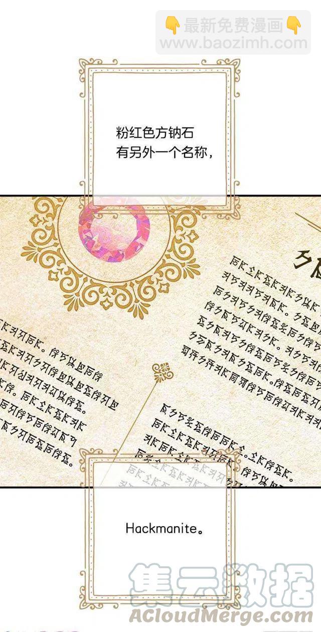 《我是这一家儿的孩子》115.别有用心的礼物 第40页