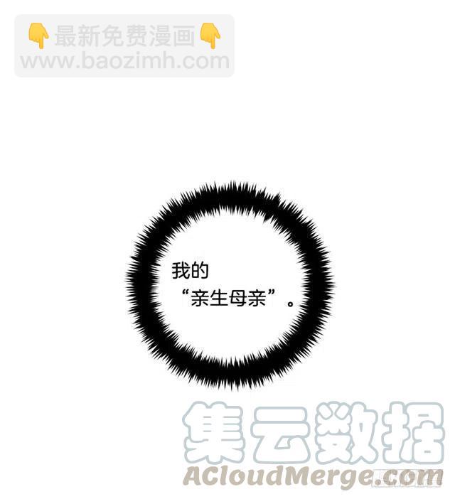 《我是这一家儿的孩子》122.又见面了，我的亲生母亲 第25页