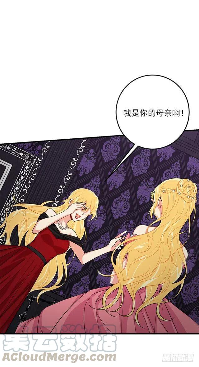 《我是这一家儿的孩子》122.又见面了，我的亲生母亲 第28页