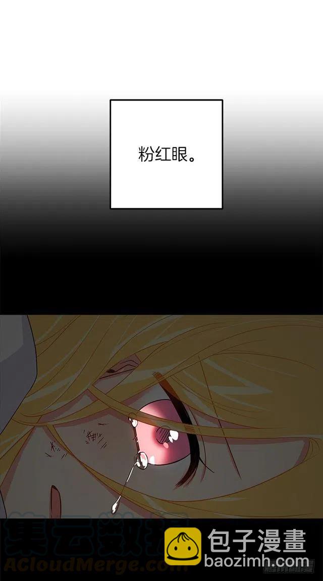 《我是这一家儿的孩子》122.又见面了，我的亲生母亲 第31页