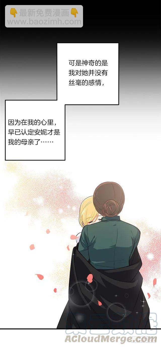 《我是这一家儿的孩子》122.又见面了，我的亲生母亲 第34页
