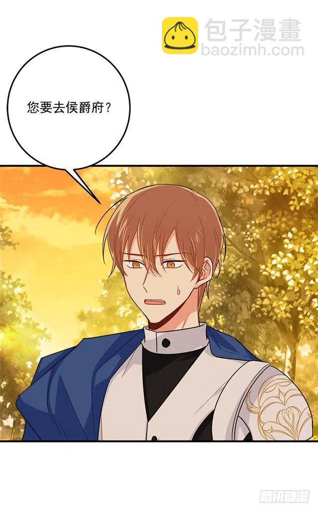《我是这一家儿的孩子》119.埃默尔不信任我！ 第5页