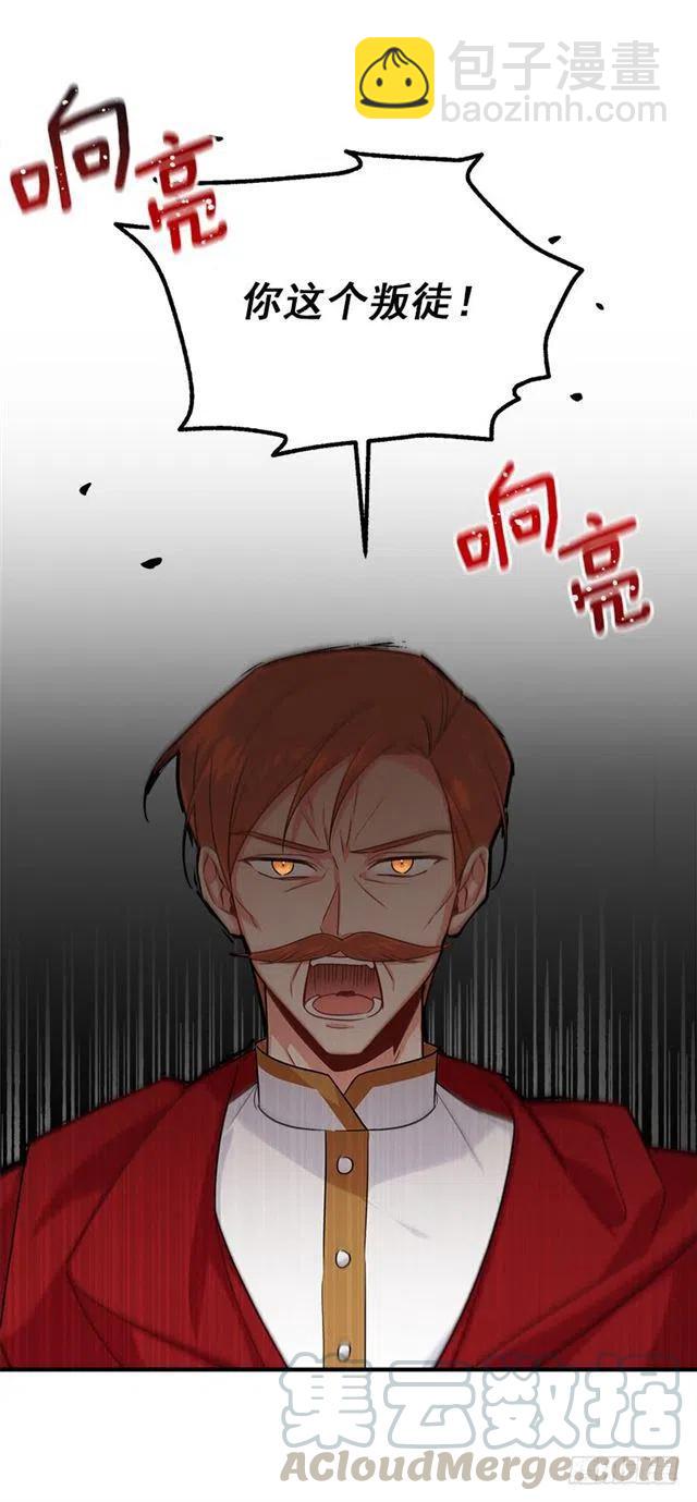 《我是这一家儿的孩子》124.原来是“影子”的功劳 第13页