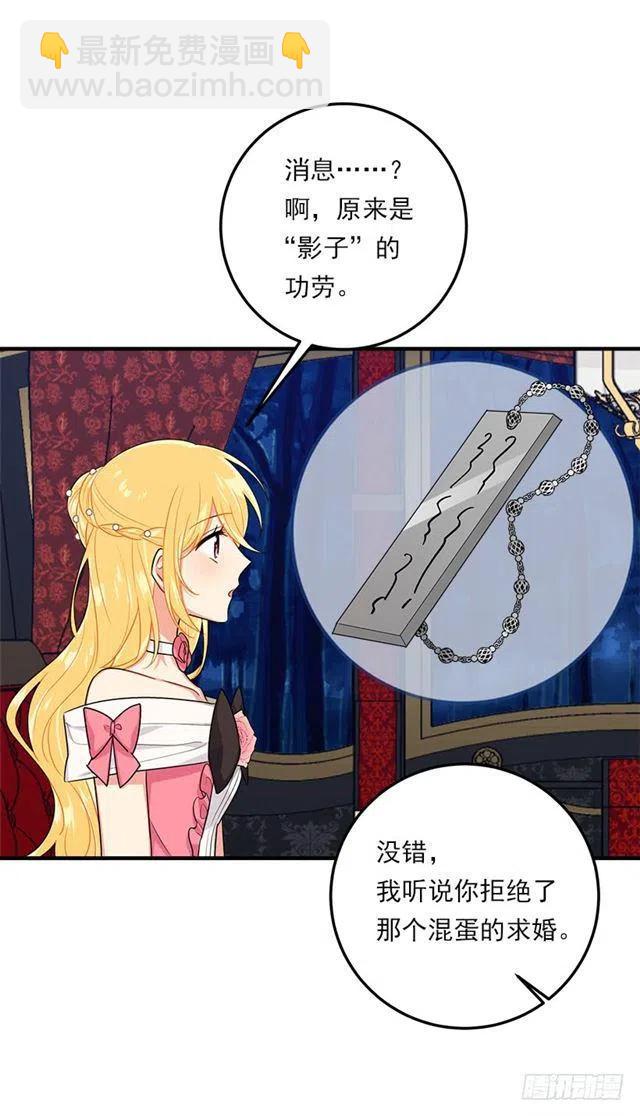《我是这一家儿的孩子》124.原来是“影子”的功劳 第23页