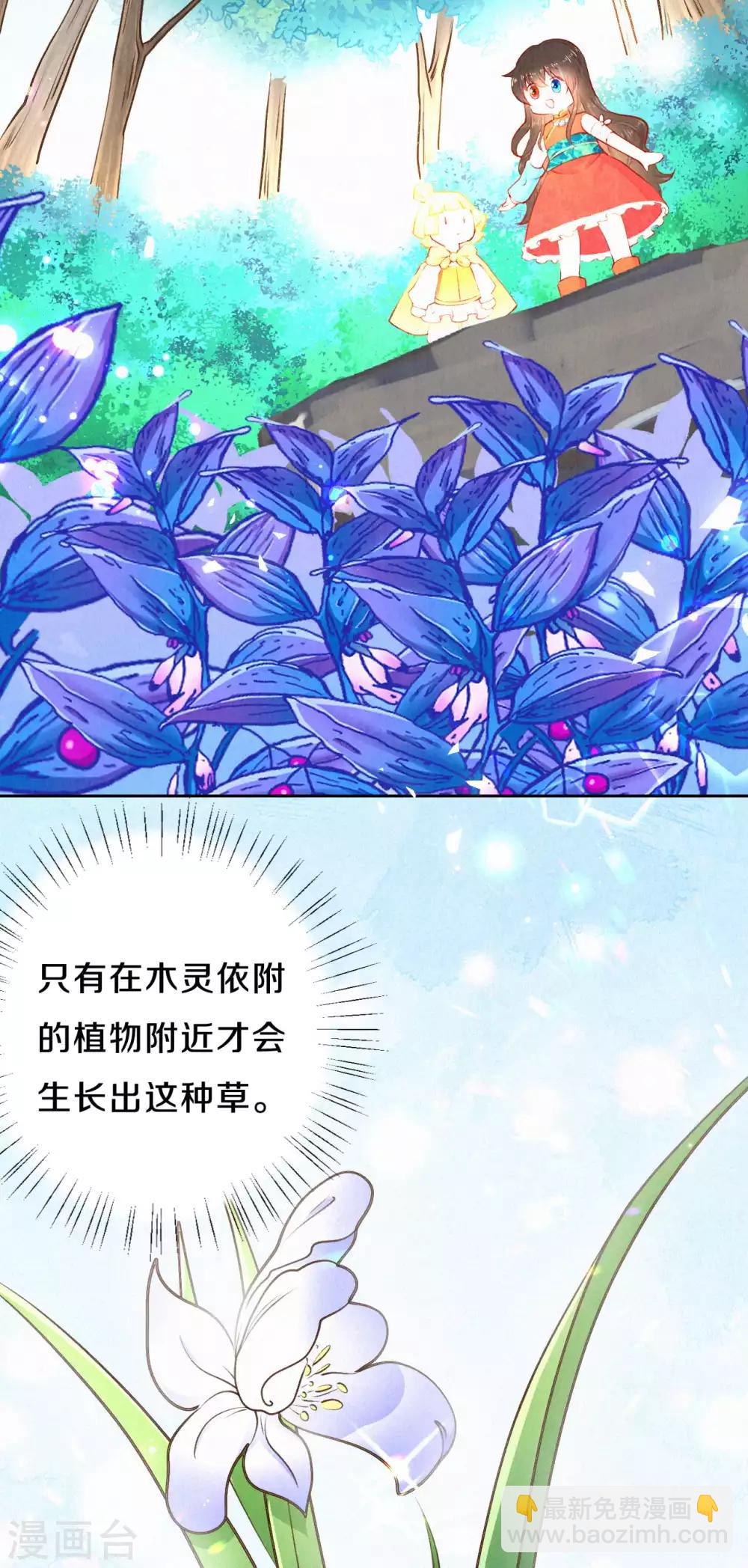 《皇家媳妇的生存手册》第36话 木灵寄宿之处 第4页