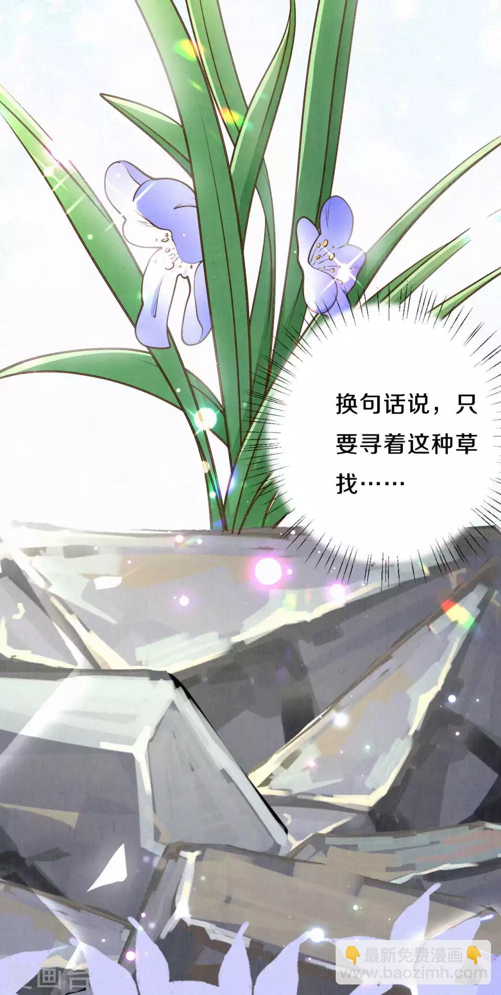 《皇家媳妇的生存手册》第36话 木灵寄宿之处 第5页