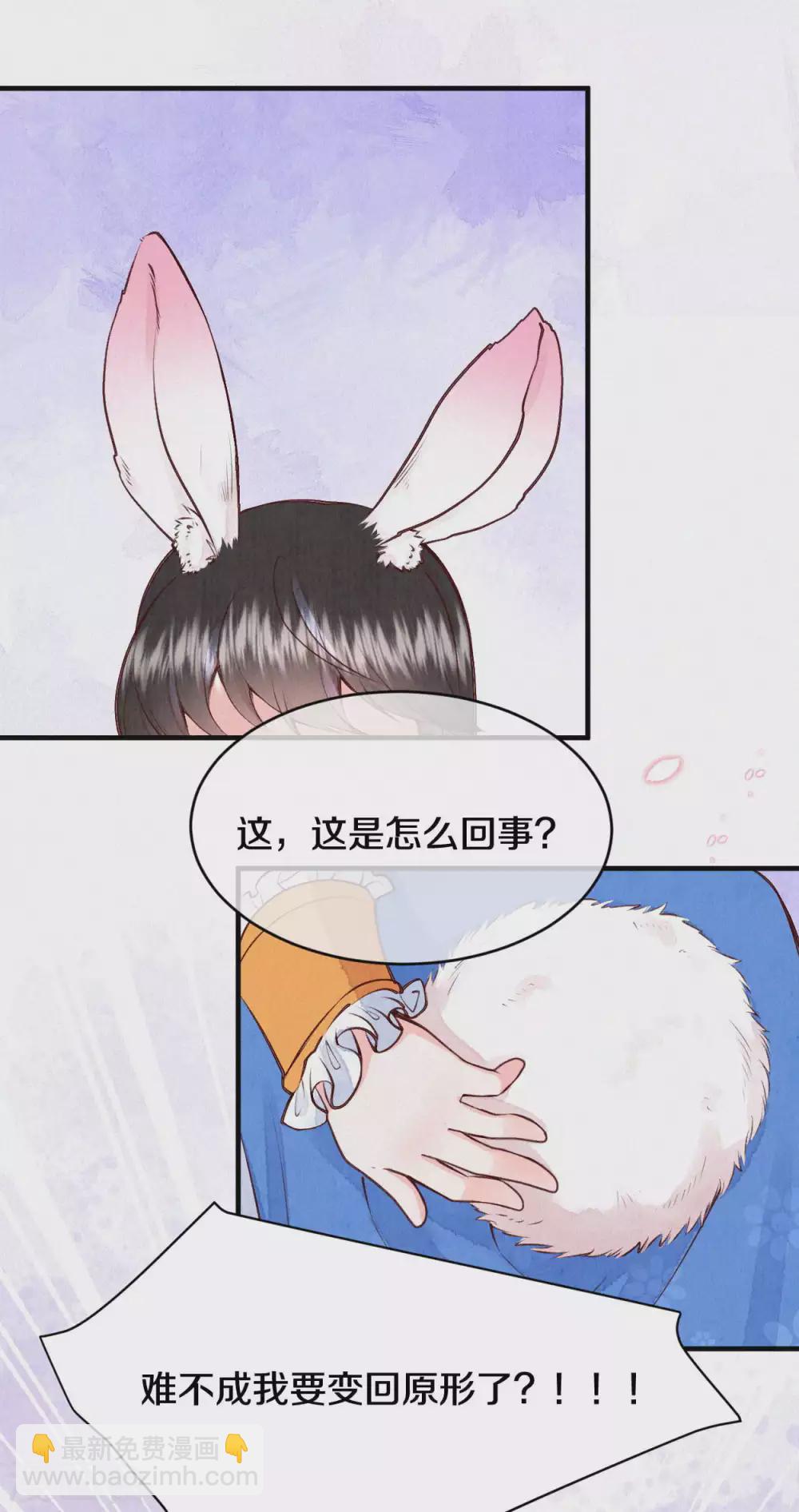 《皇家媳妇的生存手册》番外1 突然长出耳朵啦（供养加更） 第3页