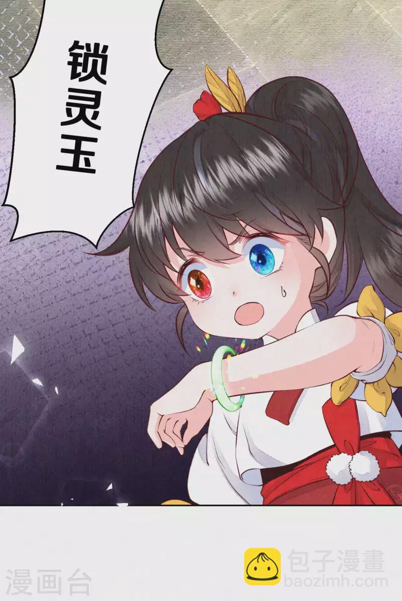 《皇家媳妇的生存手册》第66话 锁灵玉 第11页