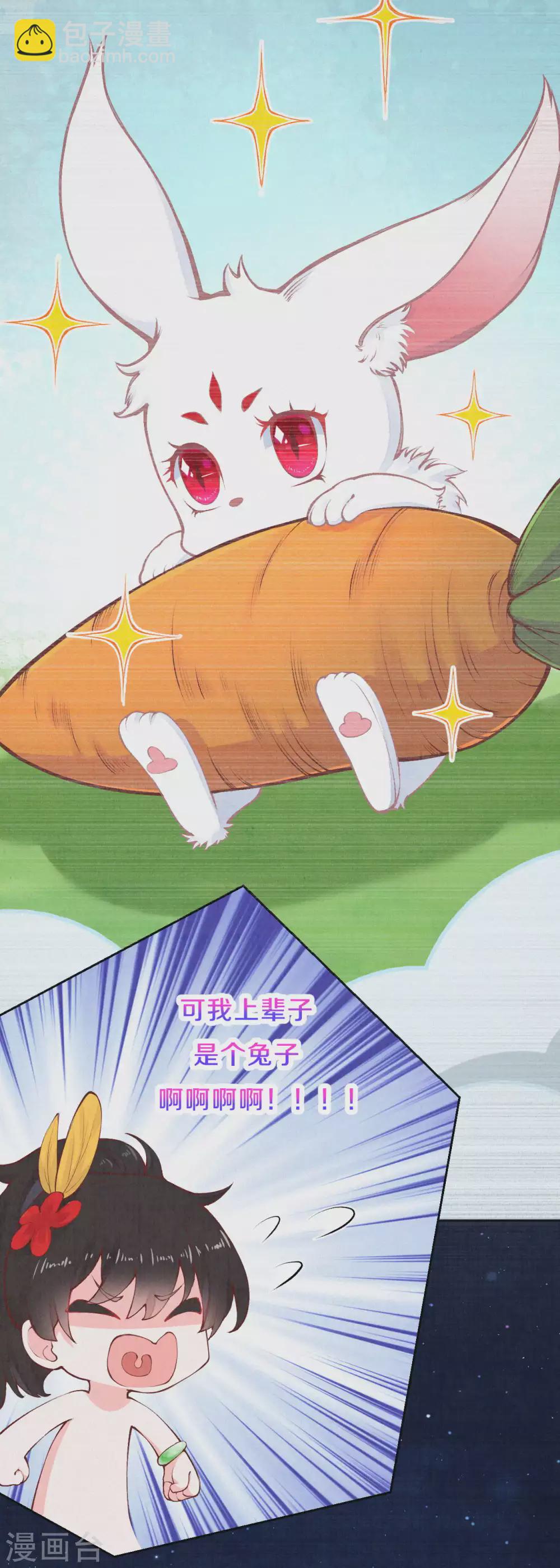 《皇家媳妇的生存手册》第71话 文盲兔子？ 第5页