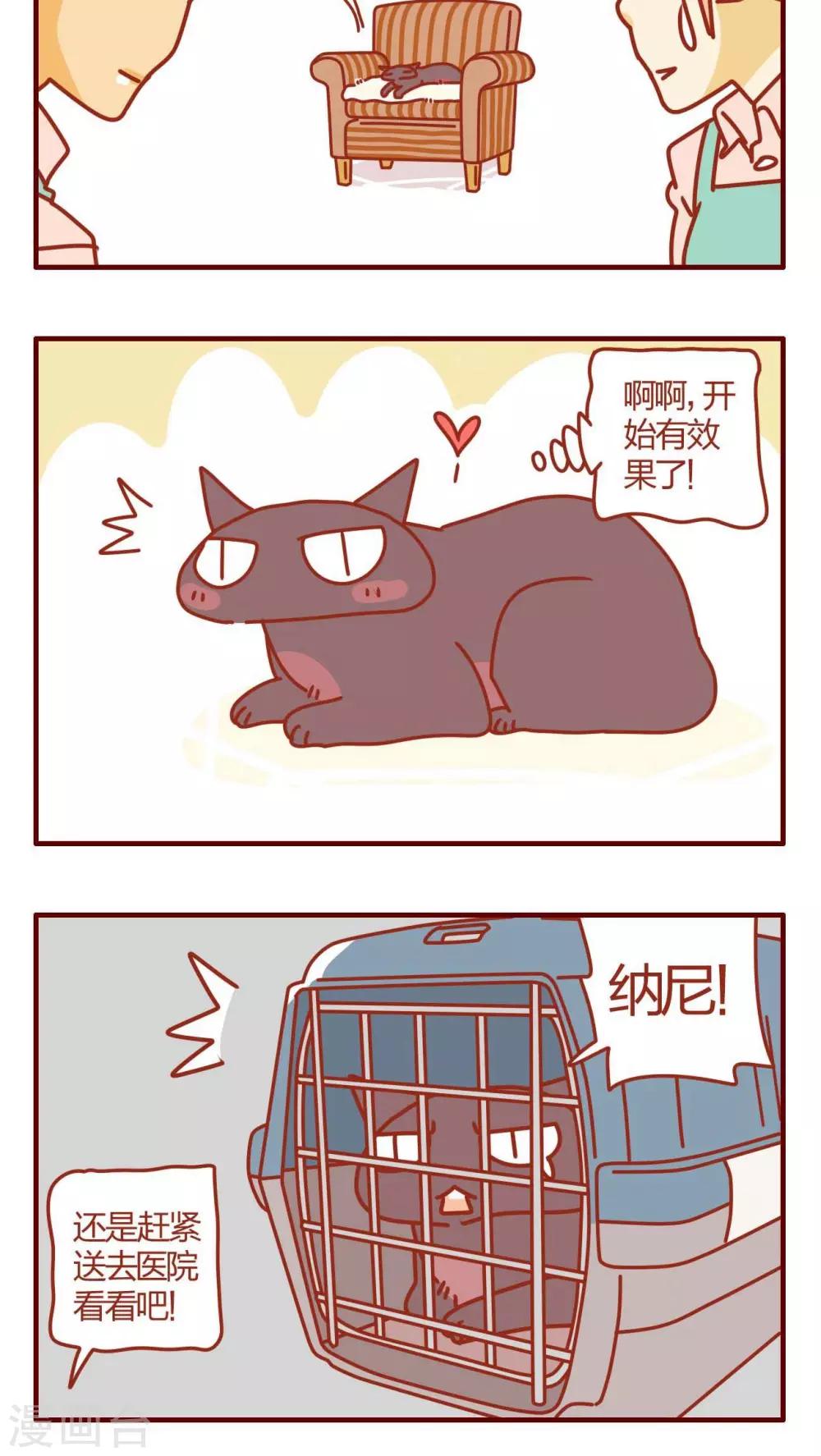 《猫咪甜品屋》第4话 第12页