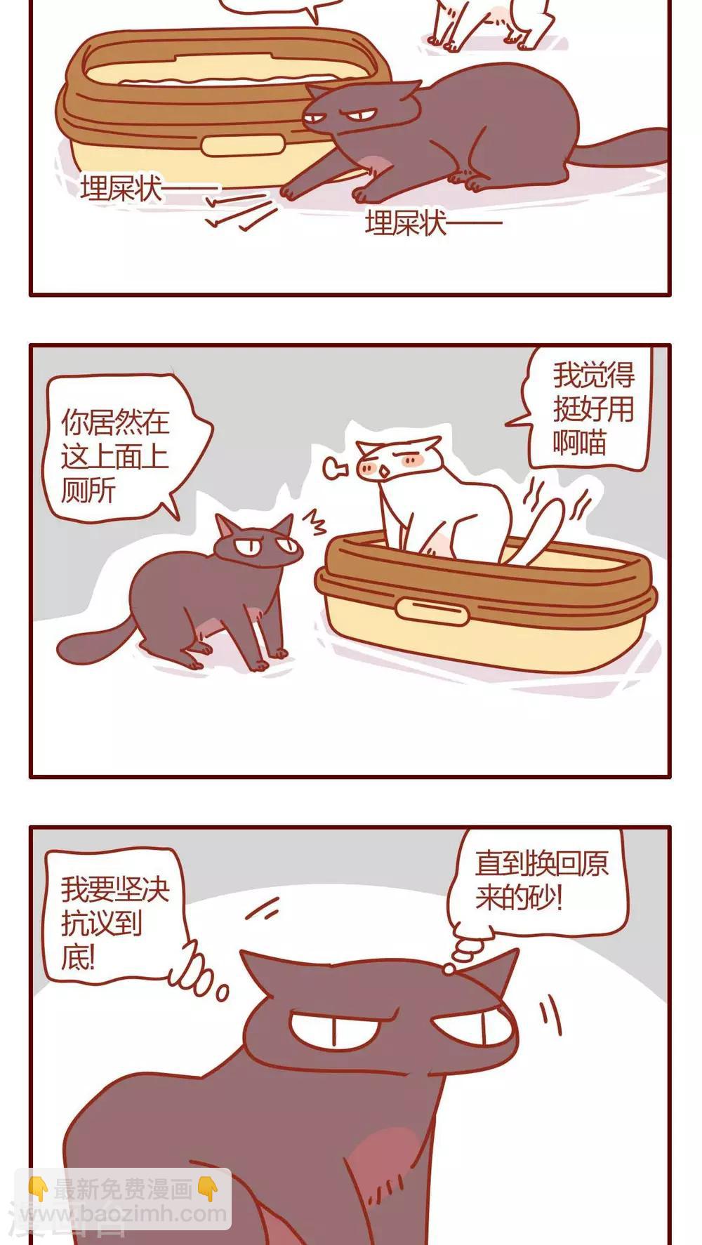 《猫咪甜品屋》第4话 第14页